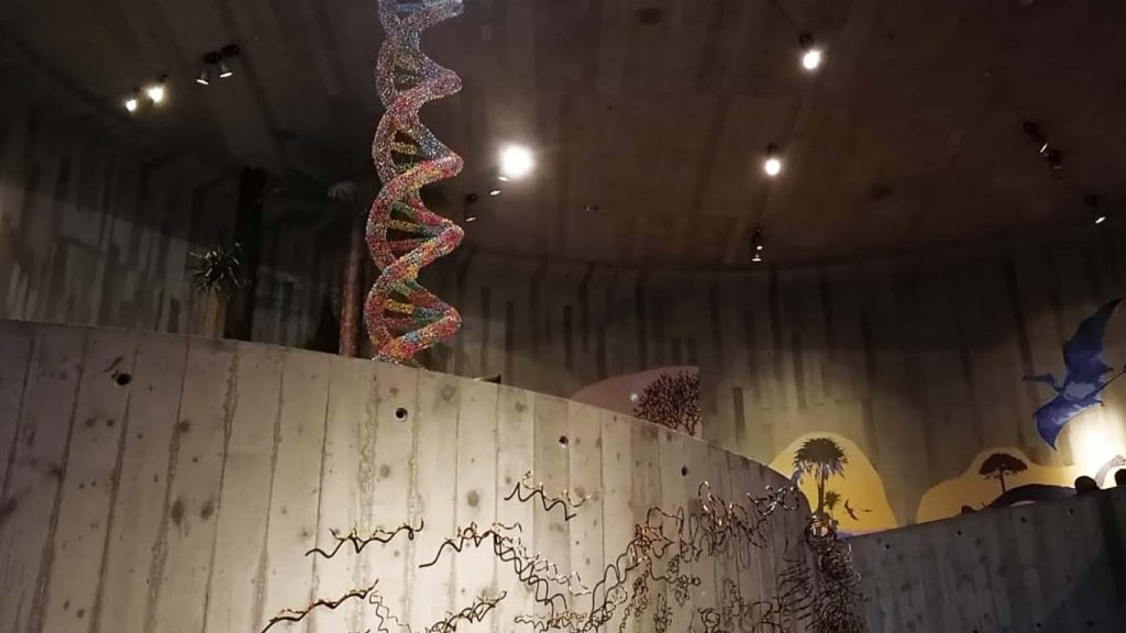 DNA sculpture in The Museum of Krapina Neanderthals