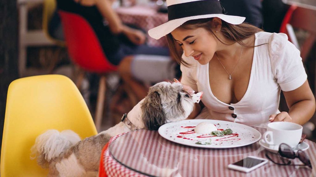 Kvarner is pet friendly