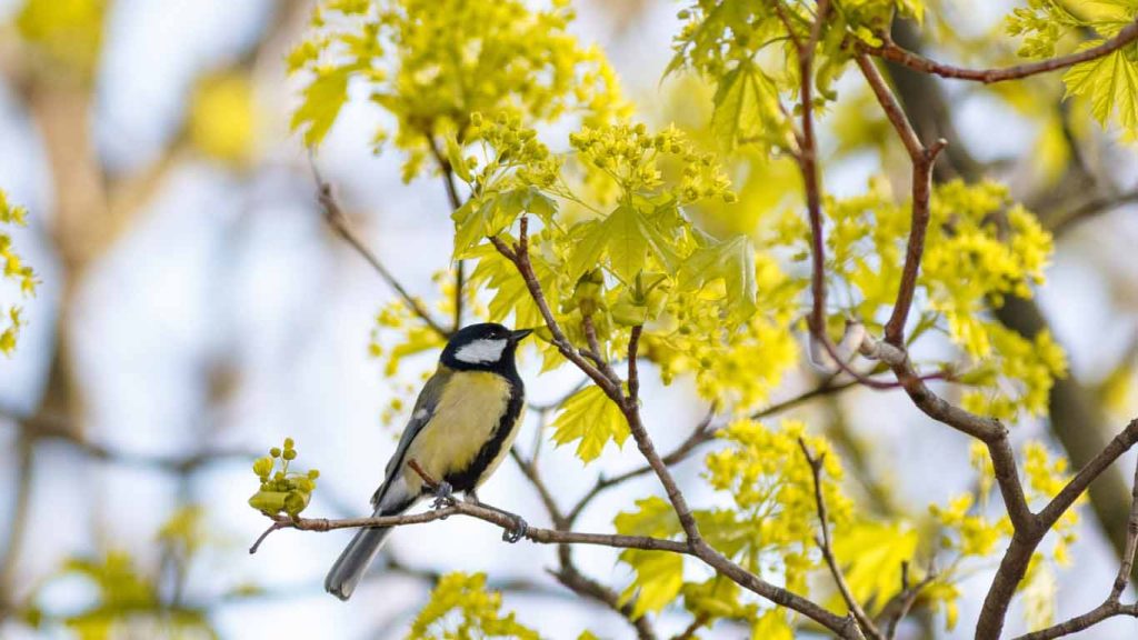 A spring trip in Croatia 1