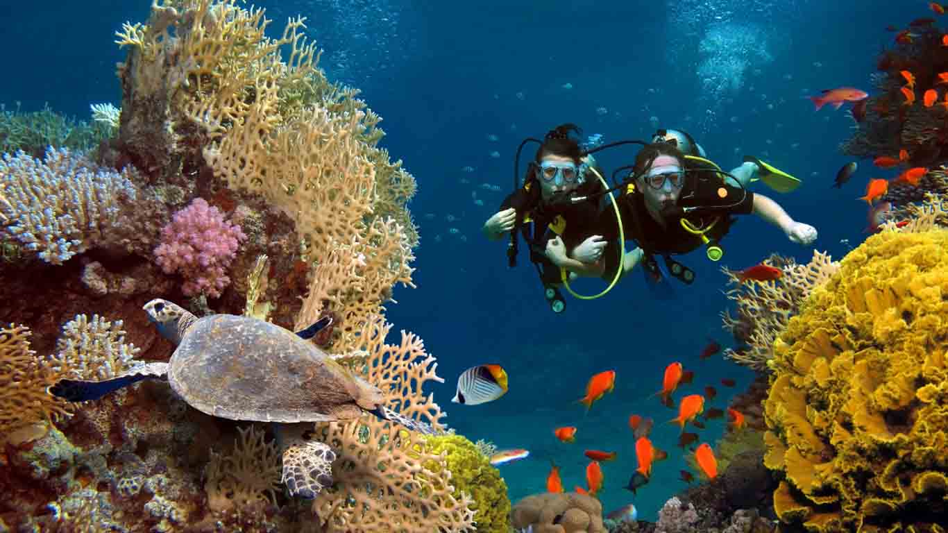 Dive into Paradise Discover the Best Snorkeling Beaches in Croatia