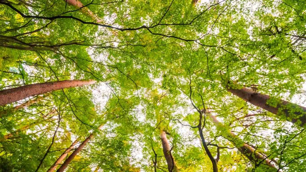 Enjoy grrenery in Žumberak and Samoborsko gorje