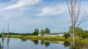 Narta Ponds 2 Source Štefan Brajković 3