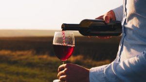 Savoring the Elegance Saints Hills Dingač - Croatia's Finest Wine 2