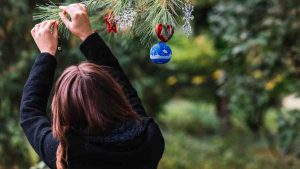 A Magical Advent Journey at Zagreb Zoo 1