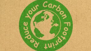 Sustainable Stays in Croatia