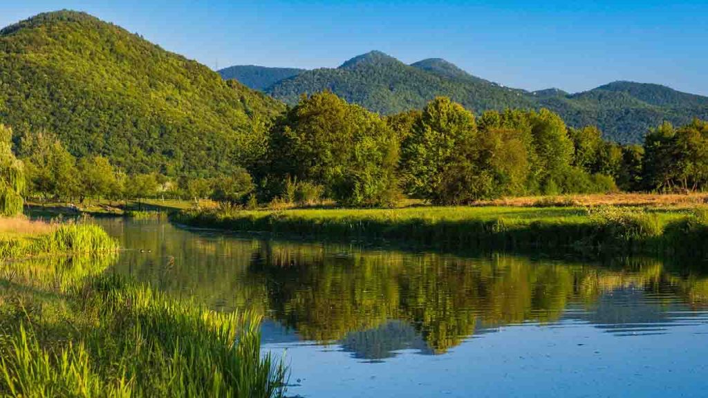 Kuterevo Bear Sanctuary 2