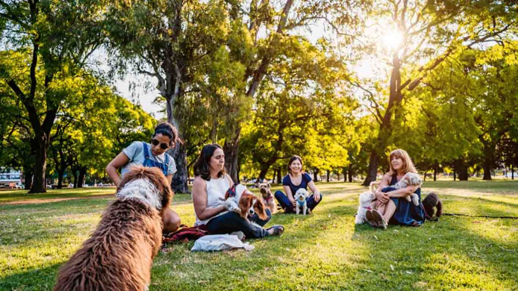 Welcome Spring Festival 2024.