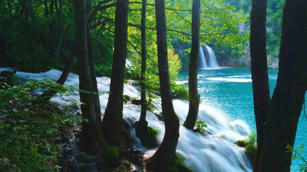 2024 Travel Green List™