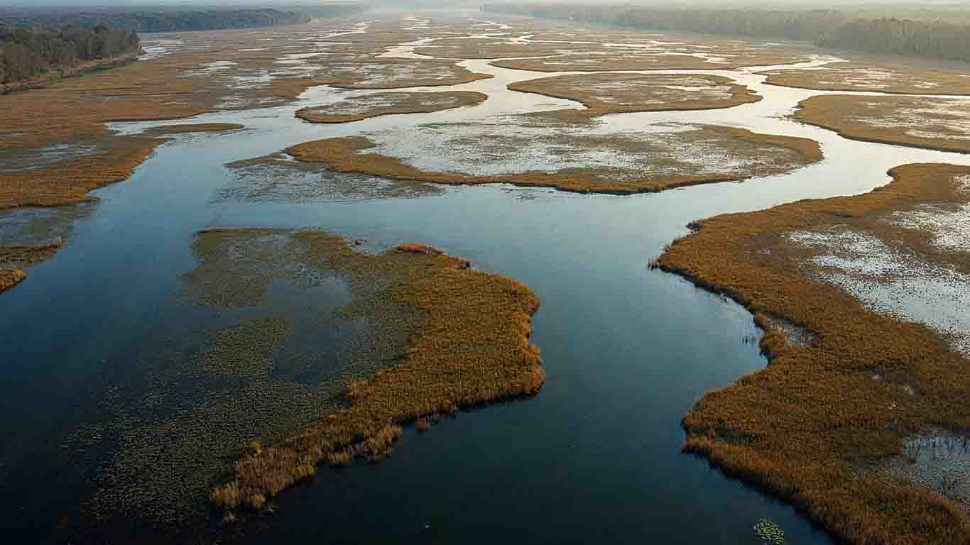 Travel Resource for Kopački rit